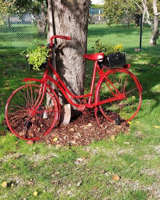 Gite Au Pommier Fleuri Et Son "Appart" Independant Drusenheim Esterno foto