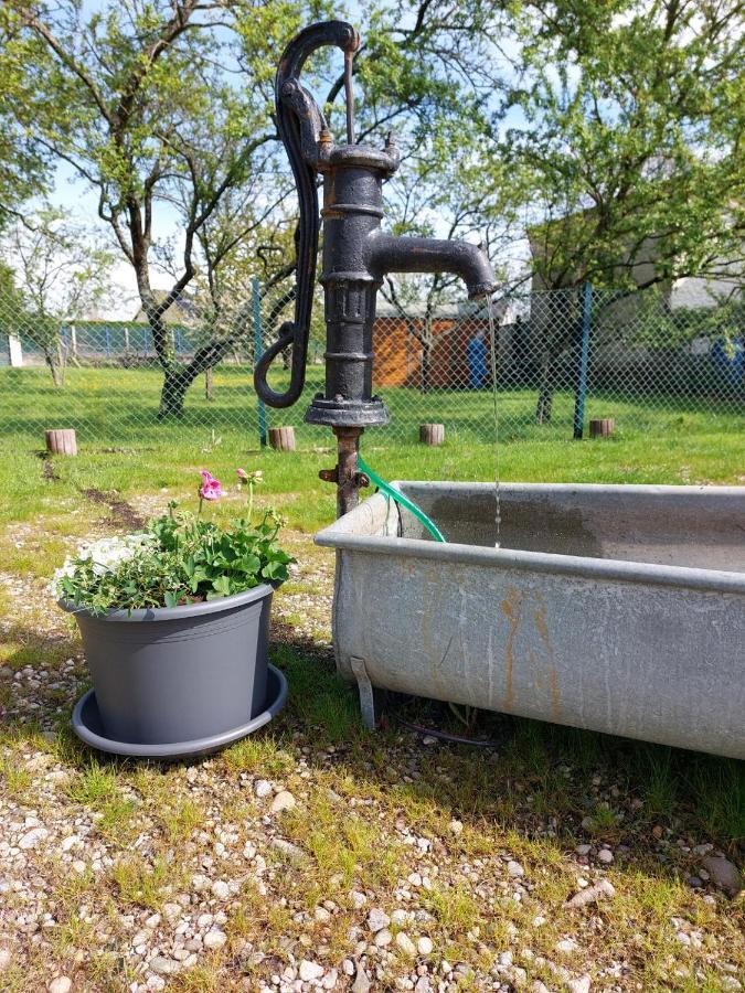 Gite Au Pommier Fleuri Et Son "Appart" Independant Drusenheim Esterno foto