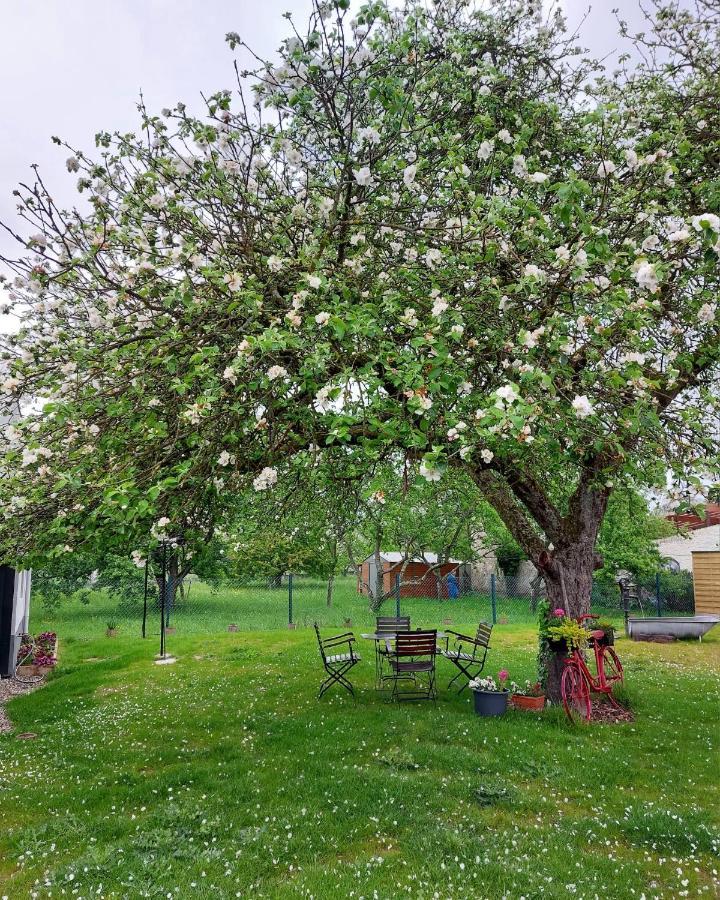 Gite Au Pommier Fleuri Et Son "Appart" Independant Drusenheim Esterno foto